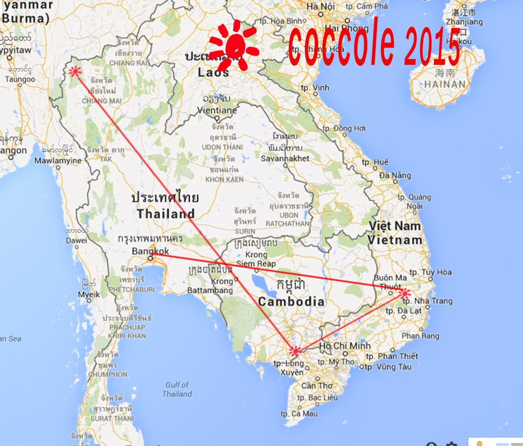 coccole 2015